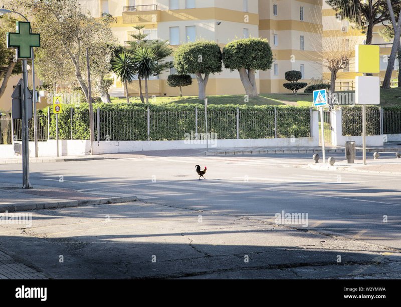 Chicken road 2 juego in Spain