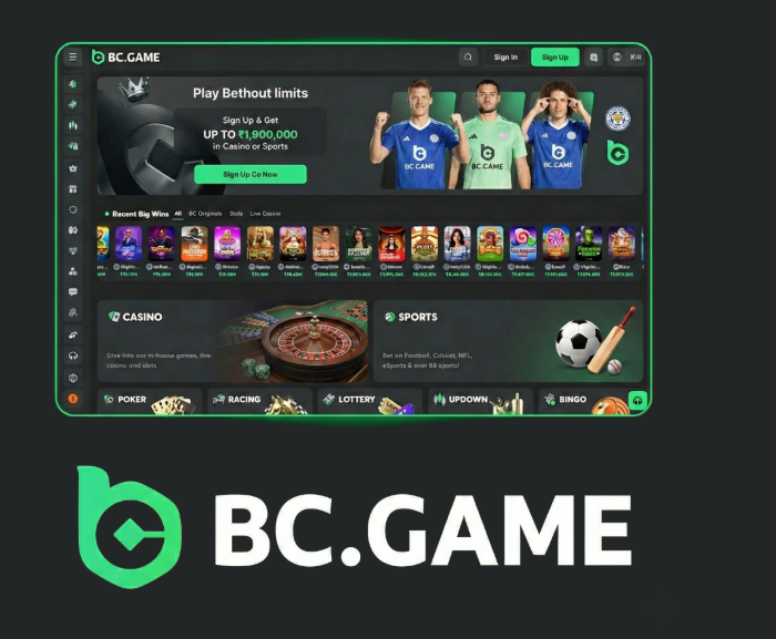 Discover the Exciting World of BC.Fun -424319682